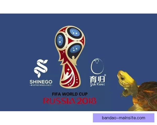 世界杯体育竞猜盘口解析与投注技巧全攻略分享